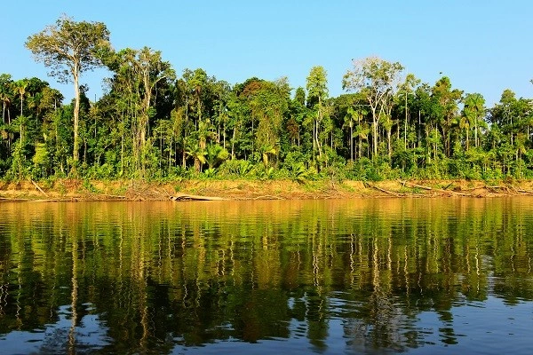 vue_599579_pgbighd.jpg
