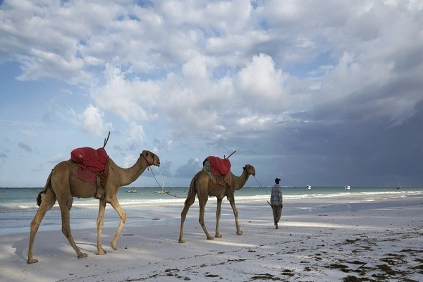 vue_614014_pgbighd.jpg