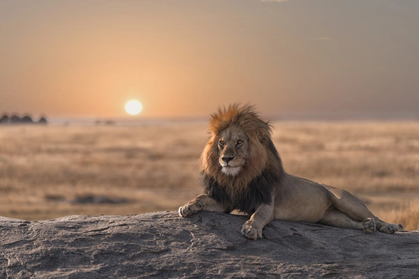 vue_635531_pgbighd.jpg