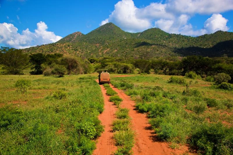 Tsavo_AdobeStock_50025130.jpg