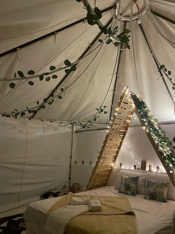 cactus-tent2.webp