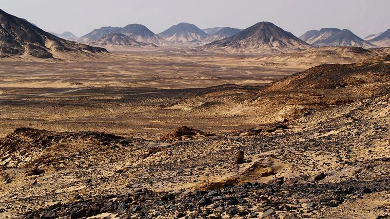 black-desert-egypt.jpg