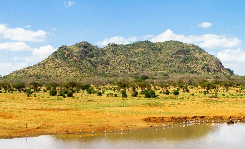 parc_Tsavo_Fotolia_137248450_Subscription_Monthly_M.jpg