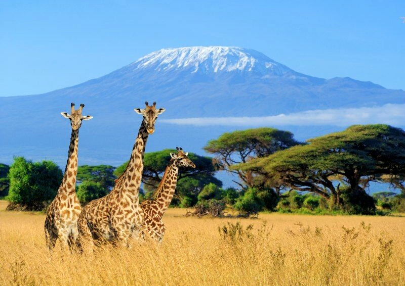 National_Parc_Kenya_AdobeStock_160605126.jpg