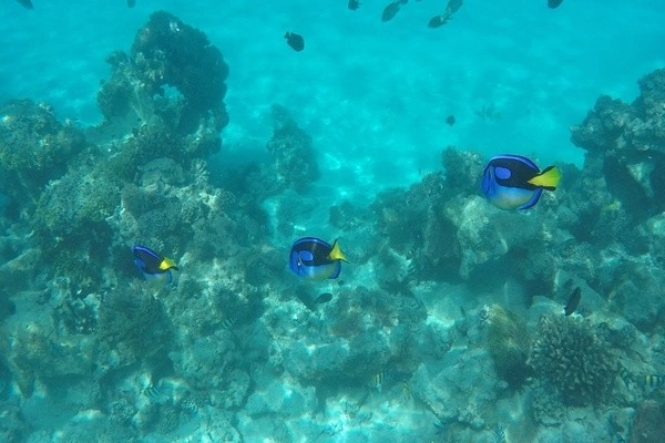 vue_635526_pgbighd.jpg