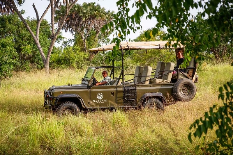Game_Drive_(99)_(800x533).jpg