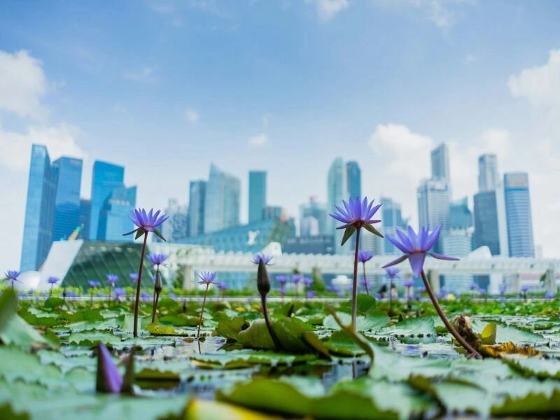 Circuit Australie et Singapour : La route des merveilles en 4*