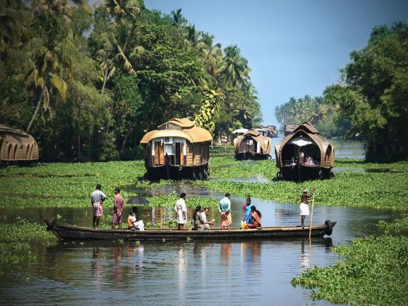 Circuit Parfum du Sud de l'Inde  - De Chennai A Cochin