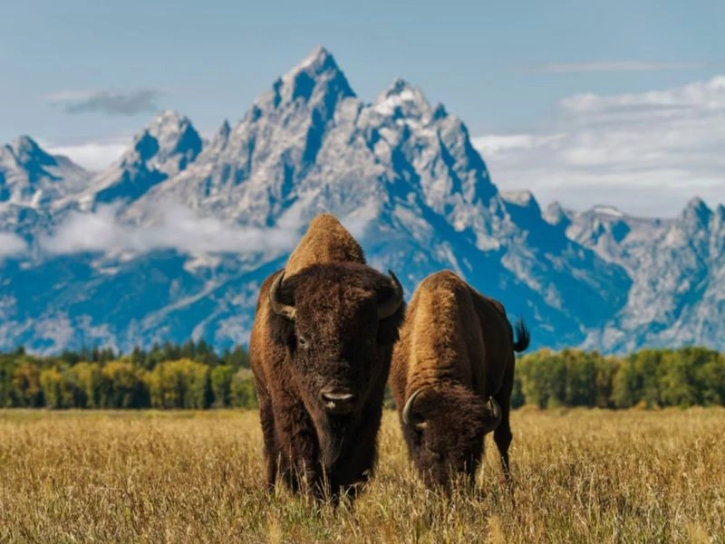 J11_GRAND_TETON.jpg