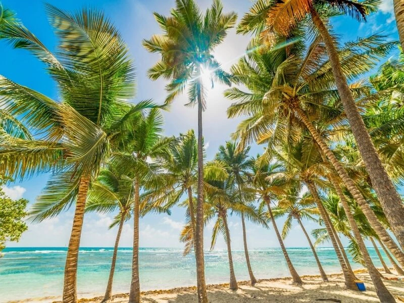 Autotour Les iles de Guadeloupe - De Point à Pitre A Pointe à Pitre