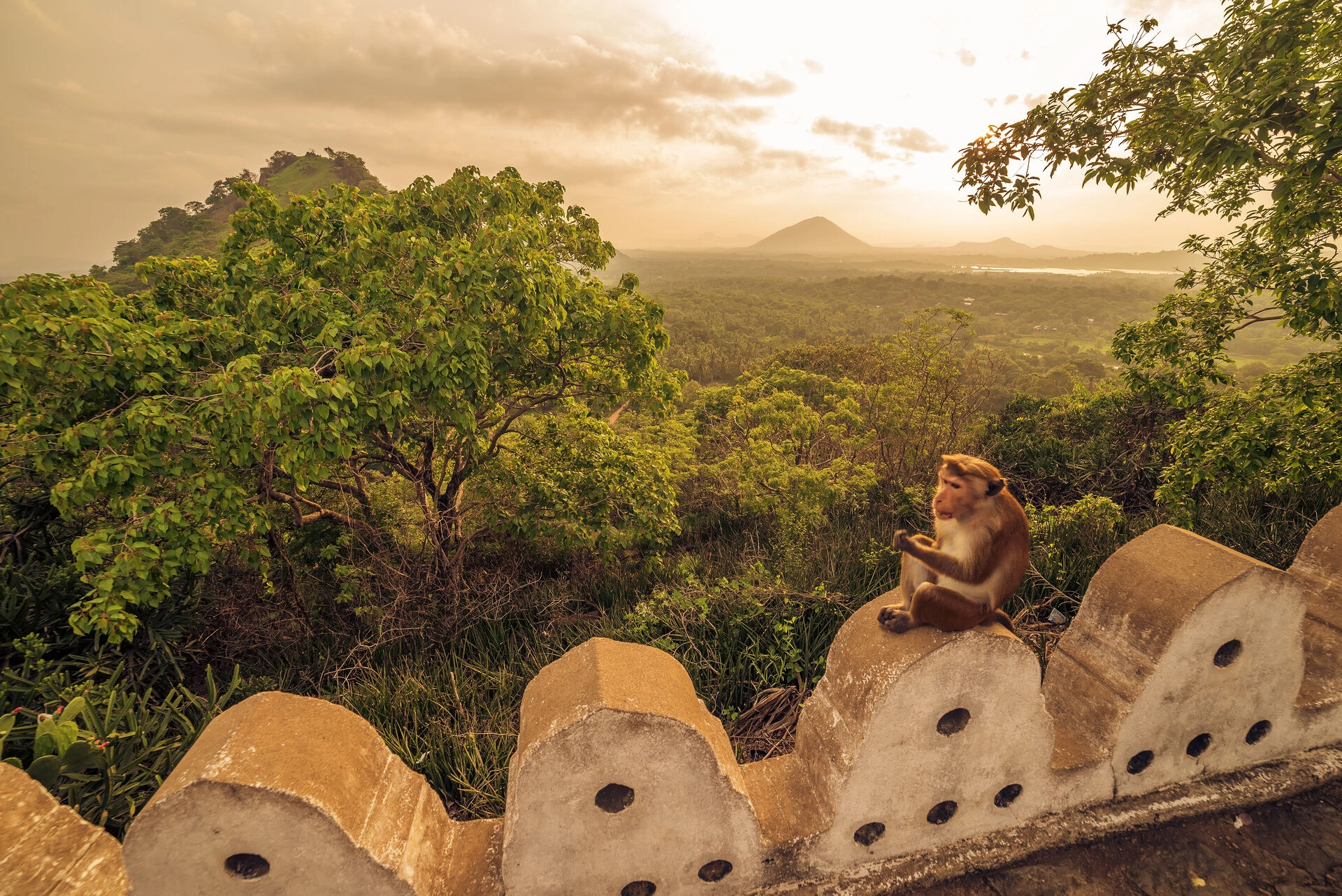Dambula_Temple_singe_AdobeStock_131245674.jpeg