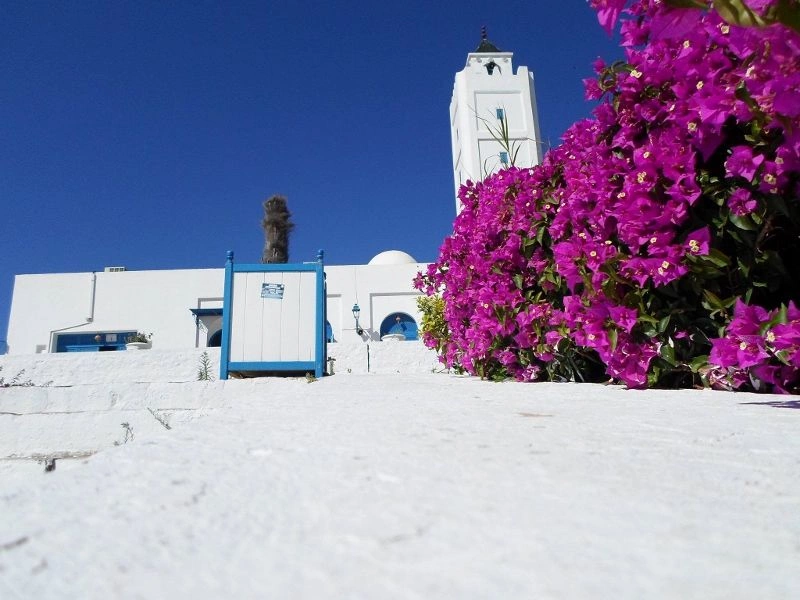 sidi_bousaid_3_(800x600).jpg