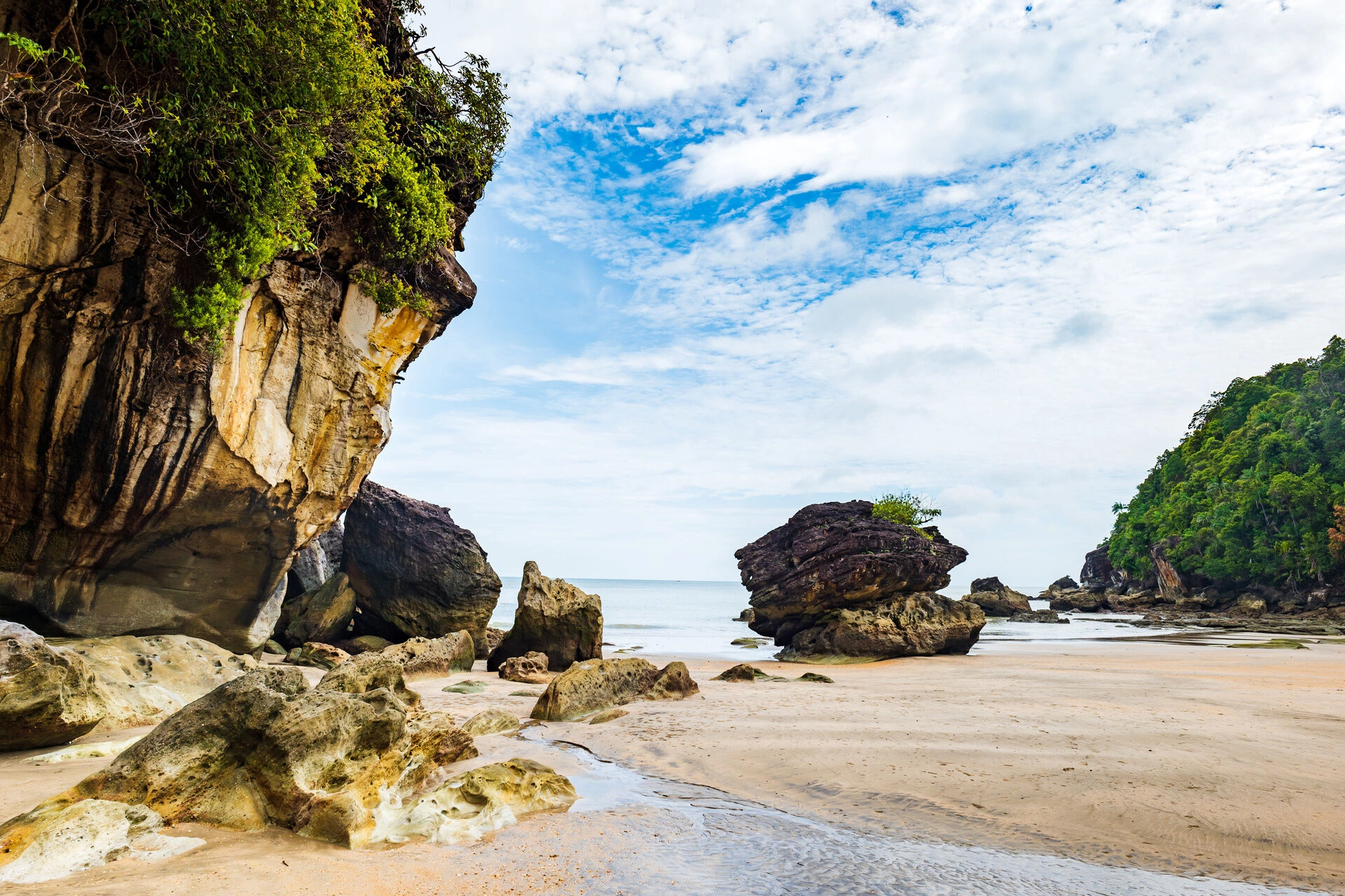 Bako_Park_national__AdobeStock_603852977.jpeg