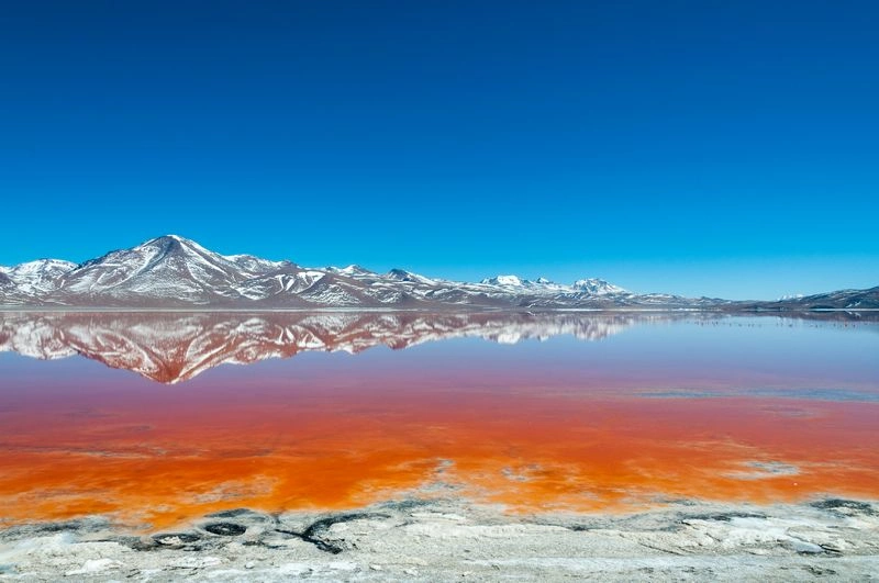 Laguna_colorada_AdobeStock_98488875_-_1K_JPEG.jpg