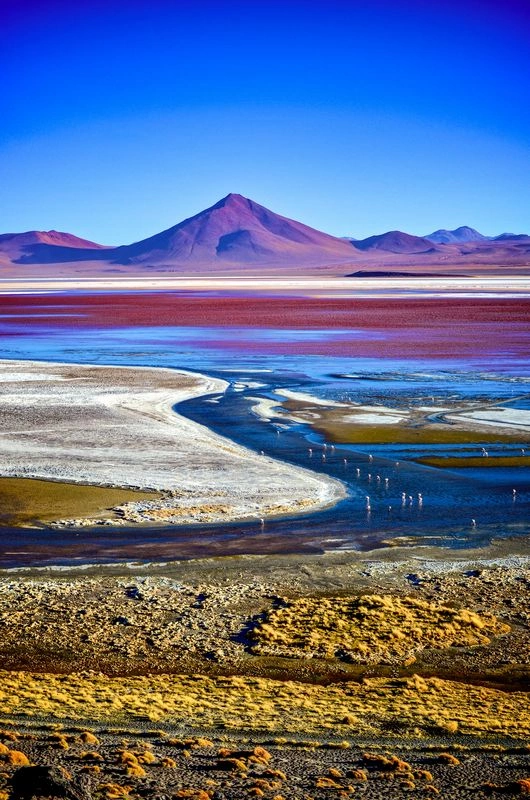 Laguna_colorada_Uyuni_AdobeStock_206762613_-_1K_JPEG.jpg
