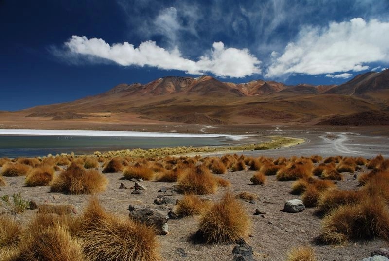 Bolivie_AdobeStock_22022830_-_1K_JPEG.jpg