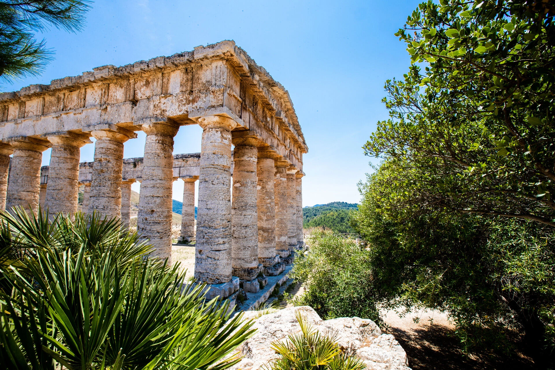 Segeste_AdobeStock_216160637.jpeg