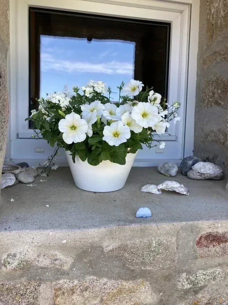 Le Cottage aux volets bleus