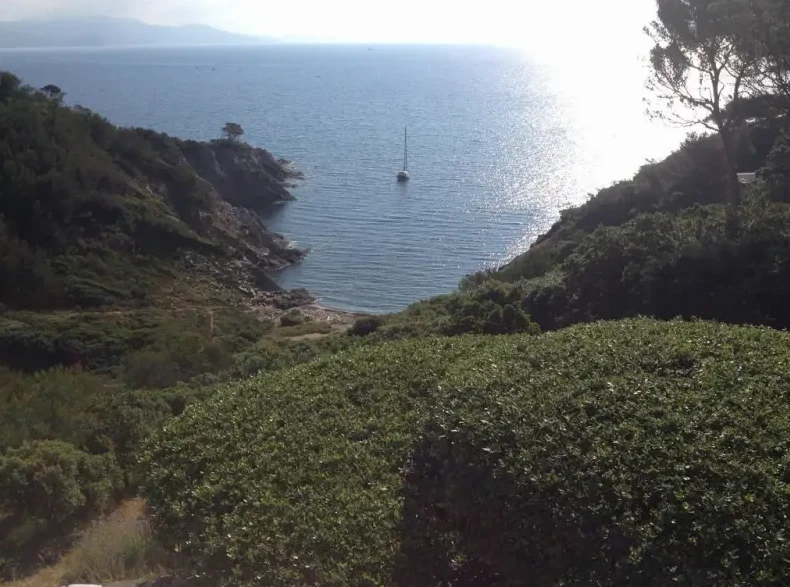 Villa dans résidence de standing pour 8 personne(s) - Bormes-les-Mimosas