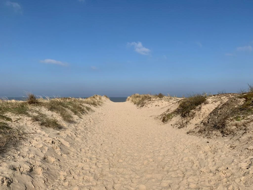 Appartement rénové chic et cosy avec vue frontale sur mer