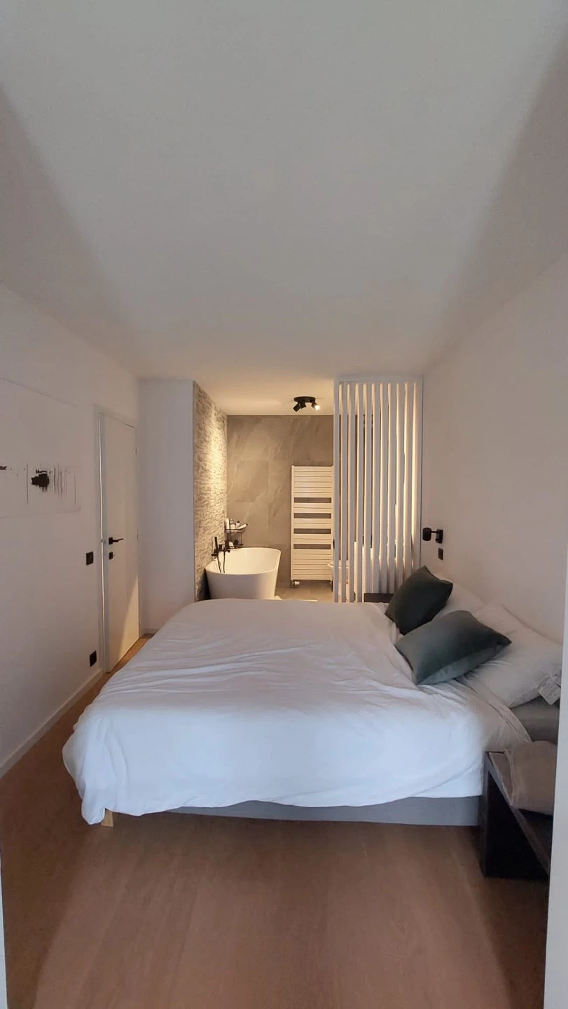 Magnifique appartement rénové