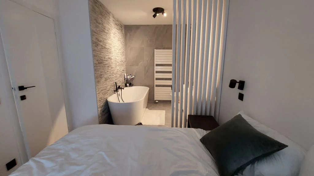 Magnifique appartement rénové