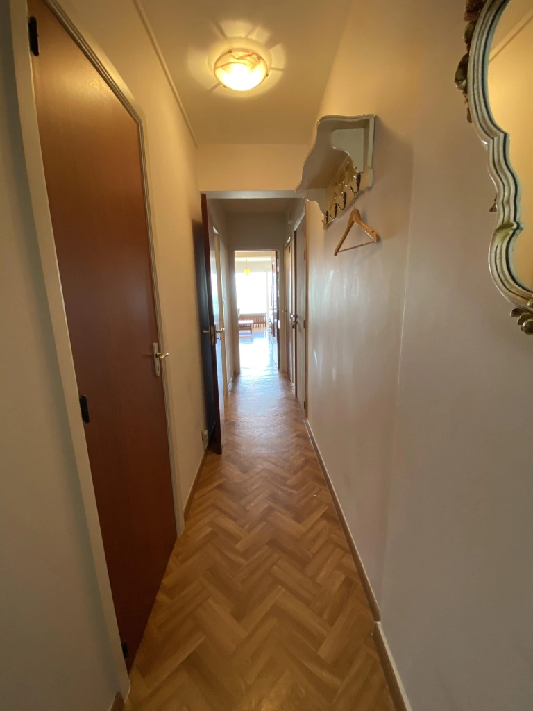 Appartement à BELVEDERE / 2A