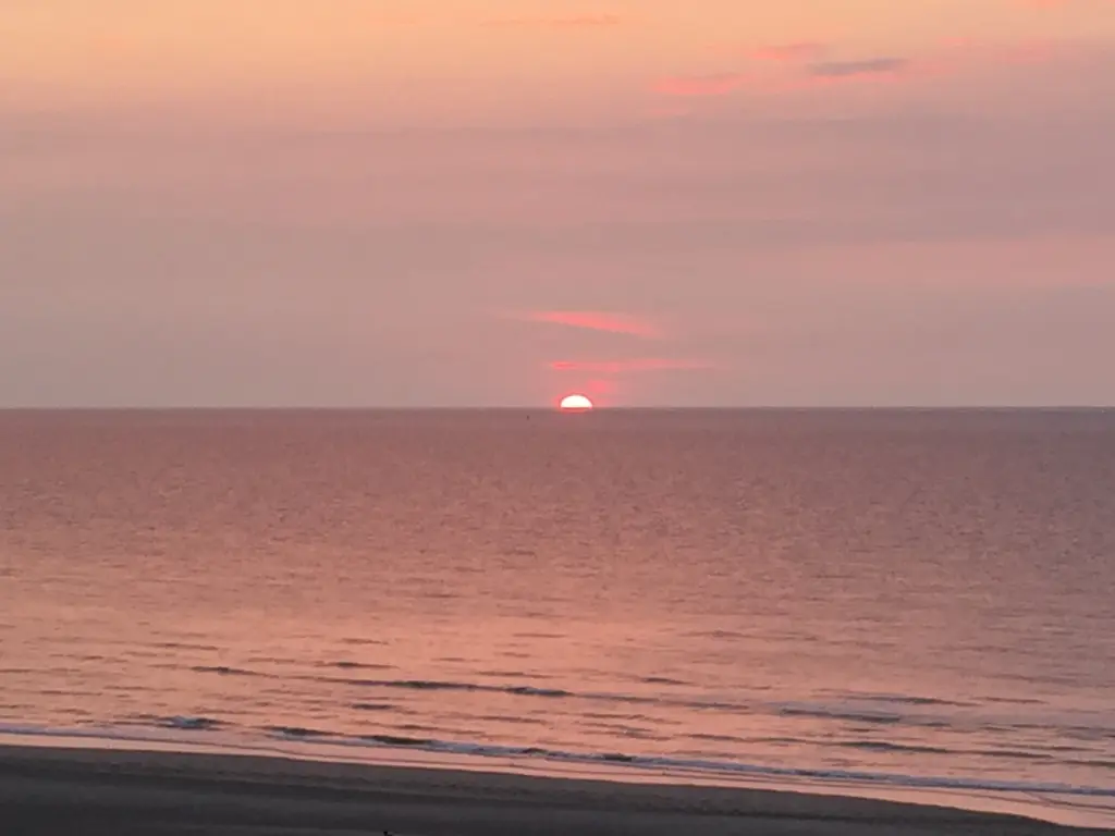 Superbe studio avec vue sur mer dans la réserve à la panne