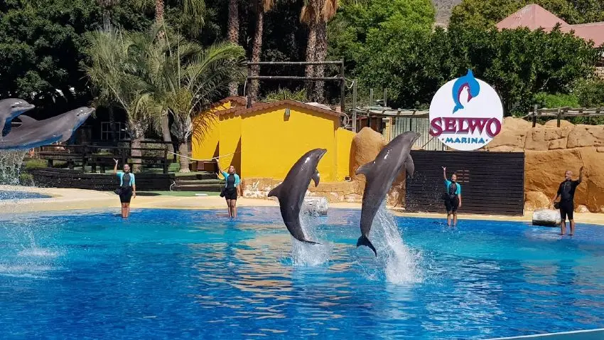Villa Palmera Luxe Relaxe Benalmadena Malaga Digital Nomad