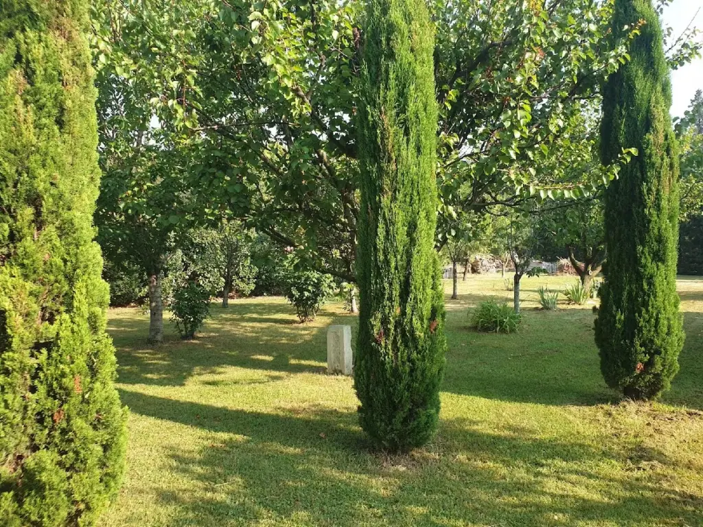 Entre Luberon et Alpilles, mas provençal dans son oliveraie et sa piscine privée