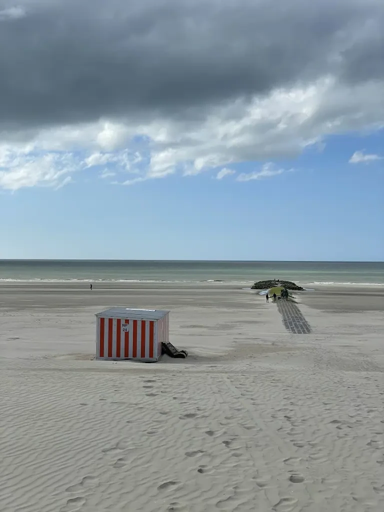 Plage:Appartement de standing avec terrasse 1 chambre à 200 m de la plage et de ses commerces