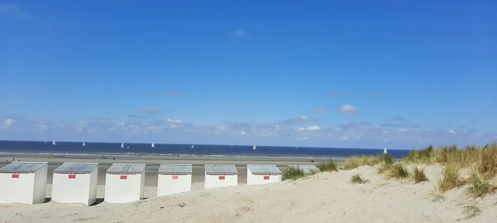 Plage:Appartement de standing avec terrasse 1 chambre à 200 m de la plage et de ses commerces
