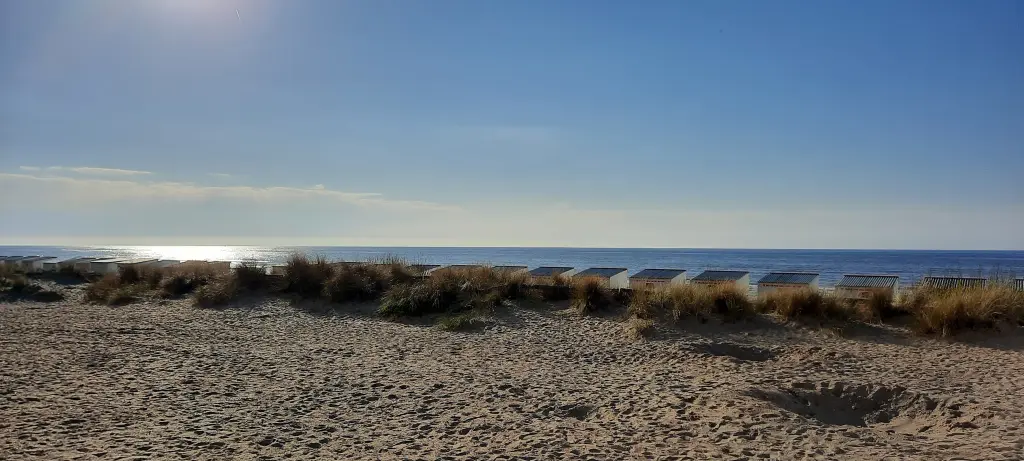 Plage:Appartement de standing avec terrasse 1 chambre à 200 m de la plage et de ses commerces