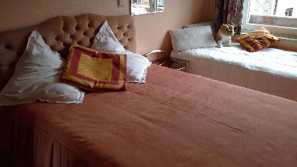 Bel appartement sur la digue à Saint-Idesbald