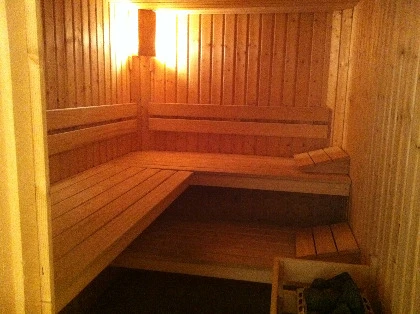 Grand beau chalet 22p. Jardin, Sauna, parking Vue plein sud