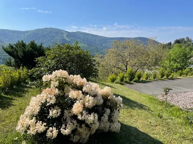 Chalet Valérie - Gîte Vosges Location de vacances