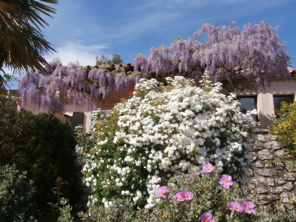Location Provence Villa 10 pers.sur 5000m/carré cloturés, piscine privée, climatisation voir site personnel maslesoliviers.fr