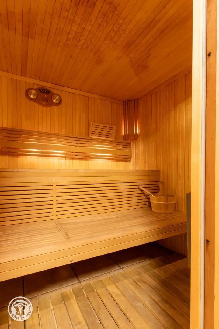 Châtel de 10 à 19 pers 380 m²