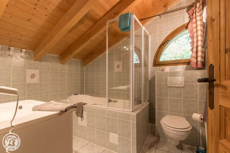 Châtel de 10 à 19 pers 380 m²