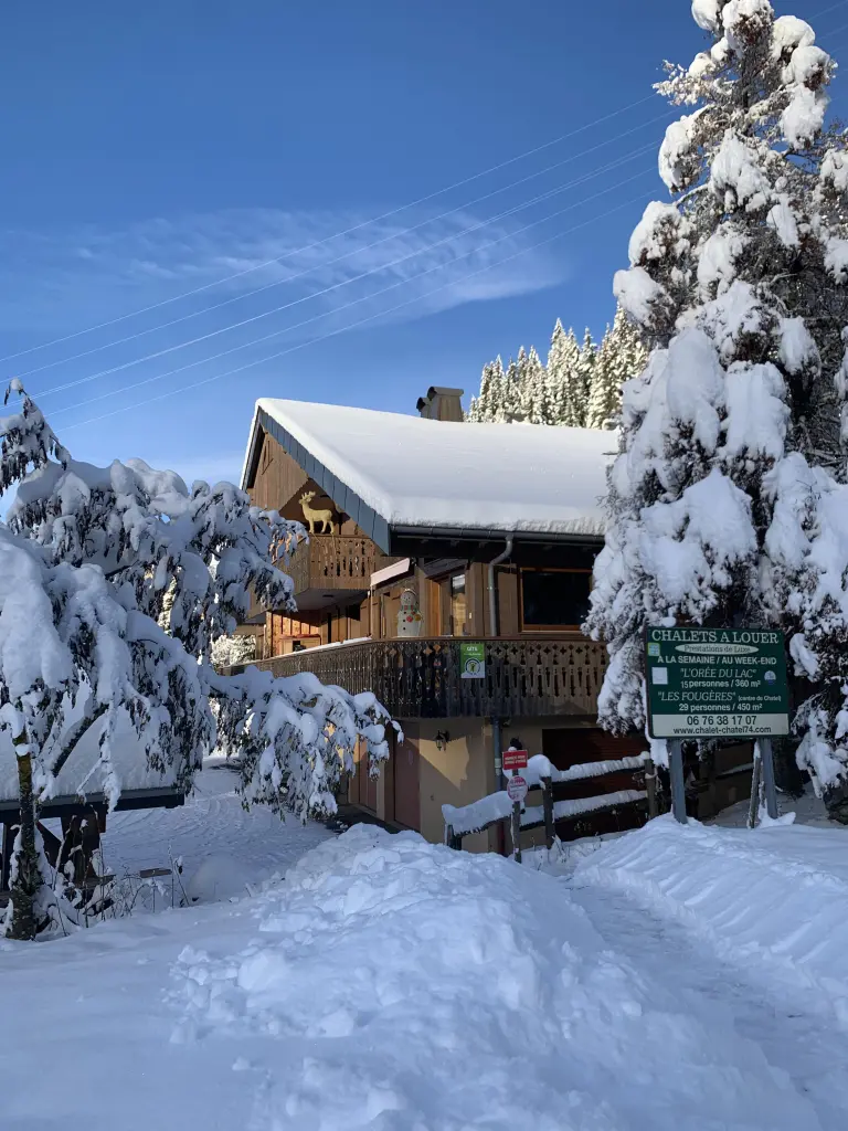 Châtel de 10 à 19 pers 380 m²