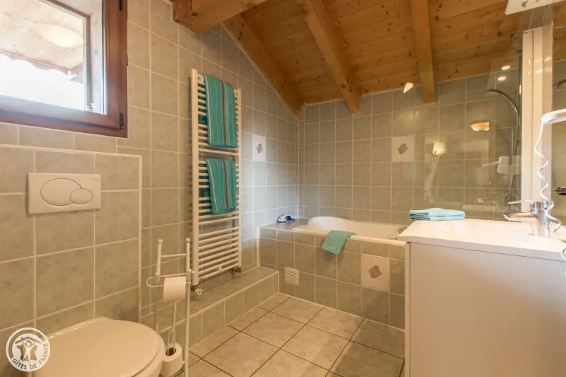 Châtel de 10 à 19 pers 380 m²