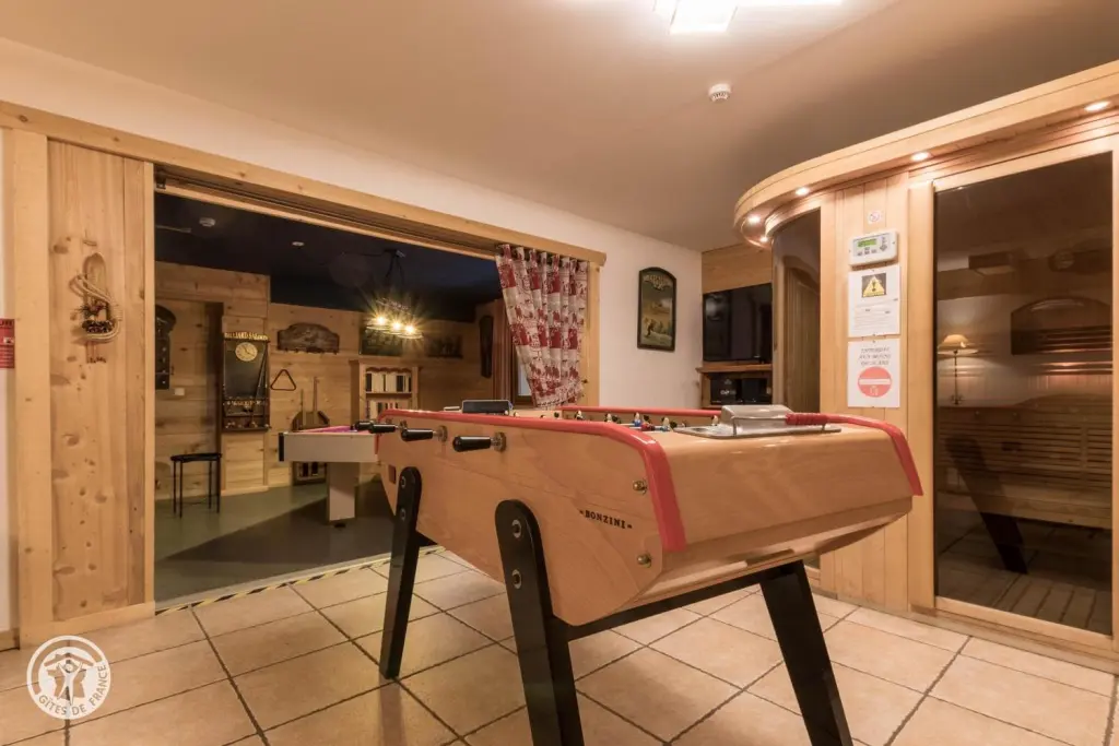 Châtel de 10 à 19 pers 380 m²
