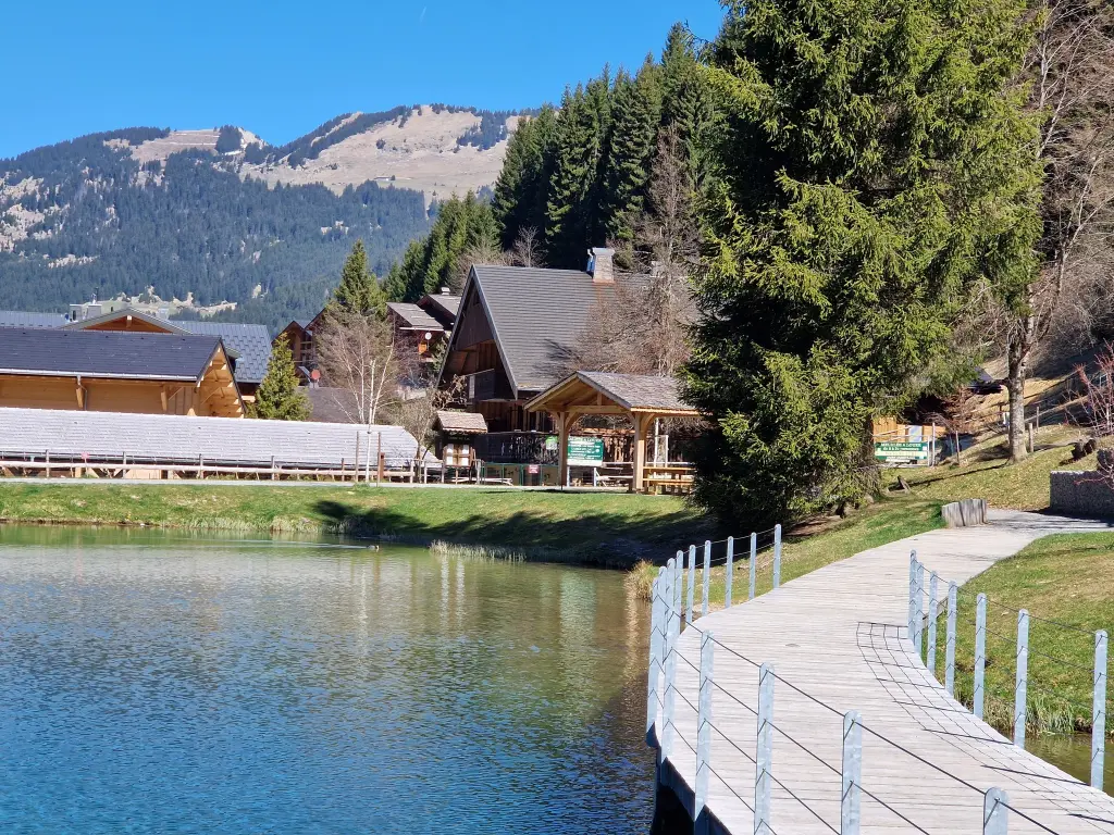 Châtel de 10 à 19 pers 380 m²