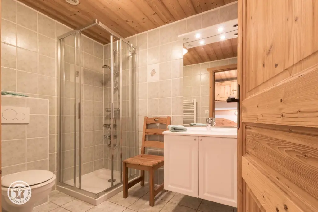 Châtel de 10 à 19 pers 380 m²